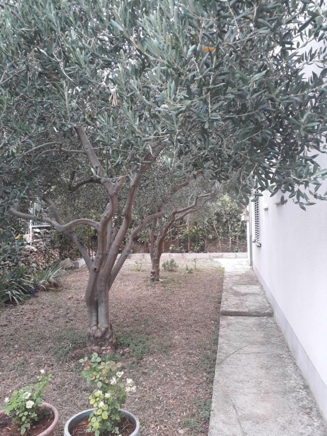 Apartments Boljat Trogir Ngoại thất bức ảnh